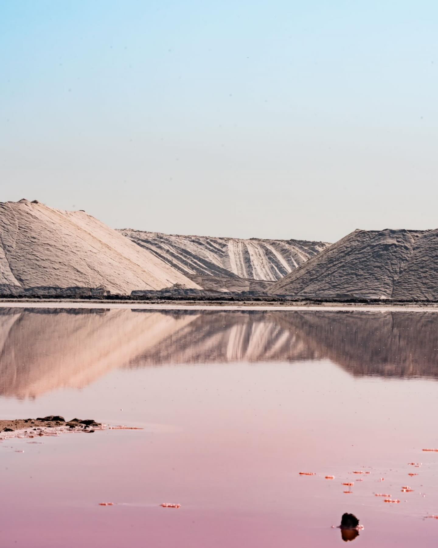 lodgesdecamargue